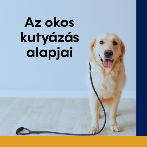 Alapok