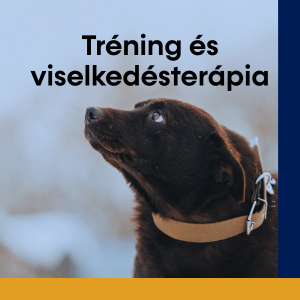 Tréning és viselkedésterápia